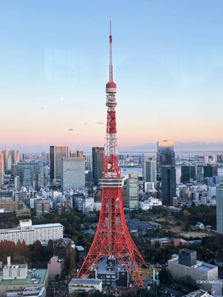 Tokyo April sunset and Tokyo Tower night view