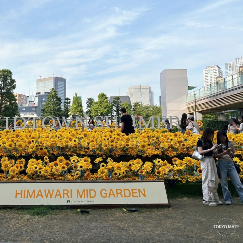 Tokyo August Weather & What to Wear (2026): Obon, Heat Wave & Typhoon Guide