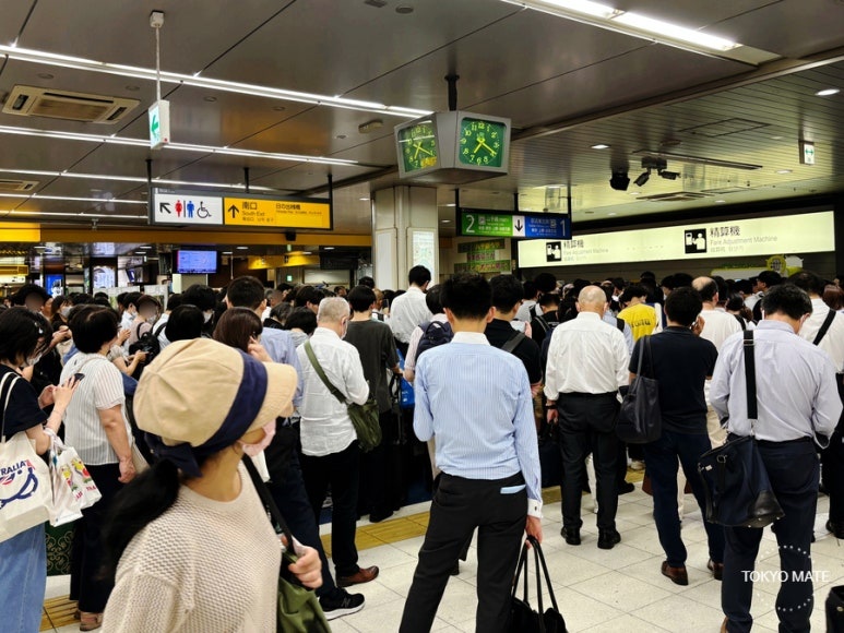 Tokyo August typhoon transport crowding