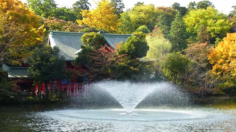 Inokashira Park autumn foliage with swan boats on the pond