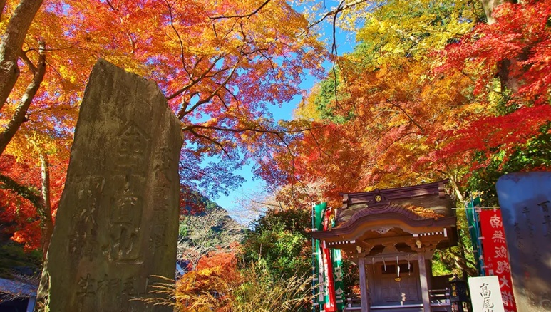 Mount Takao autumn foliage with mountain trails covered in red and orange leaves