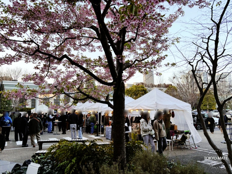 Tokyo March Weather Clothing Recommendations