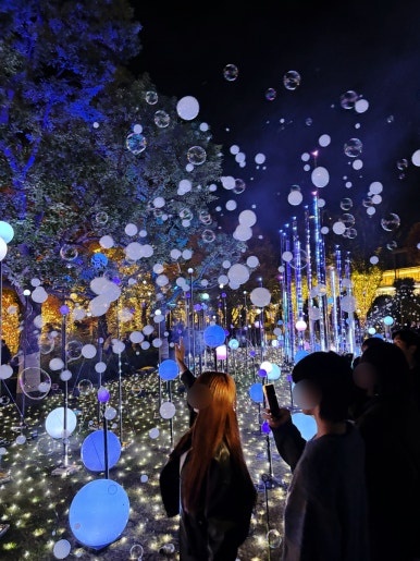 Tokyo Midtown Christmas Garden Illumination 2