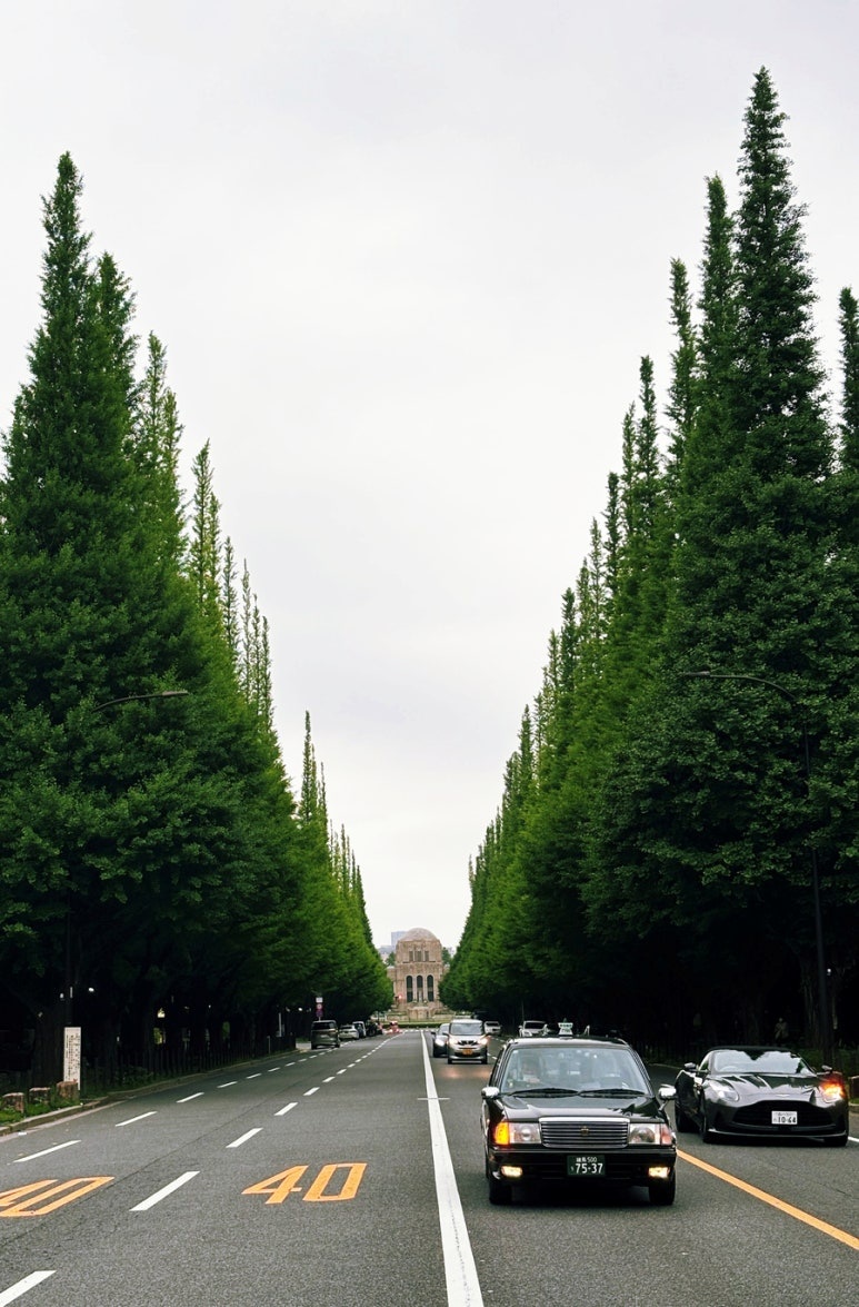 Meiji Jingu Gaien Ginkgo Avenue where 2025 Tokyo Christmas Market will be held