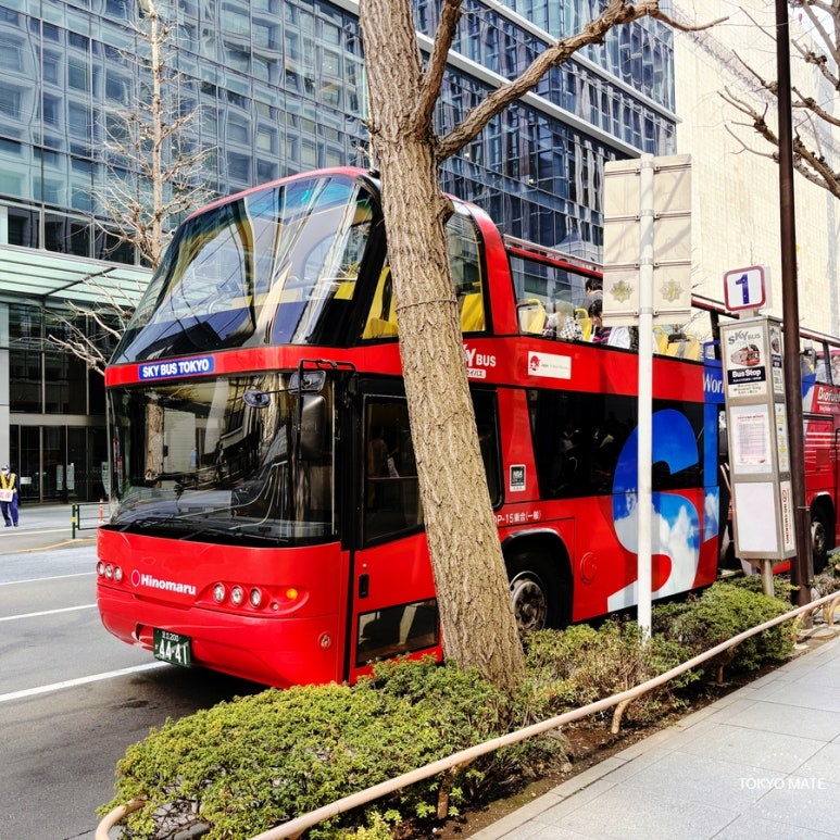 Tokyo City Tour Buses Compared: SkyHop Bus, SkyBus & Hato Bus