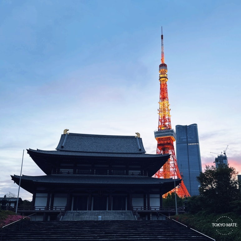 Tokyo New Year's Countdown 2026: Best 3 Spots - Shinjuku vs Zojoji vs Sensoji (Transportation & Lighting Tips)