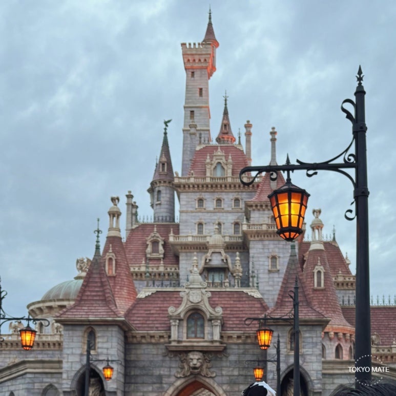 Tokyo Disneyland afternoon ticket 2026 prices, how to buy, and DPA guide