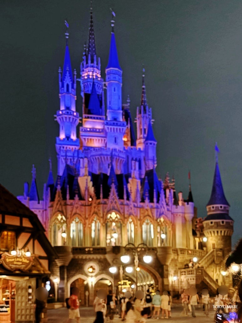 Tokyo Disneyland afternoon ticket — Early Evening and Weeknight Passport