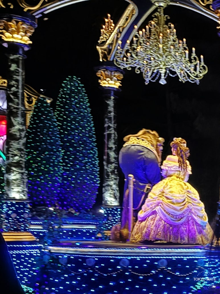 Tokyo Disneyland afternoon ticket purchase on official website