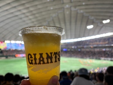 Tokyo Dome baseball game seating area