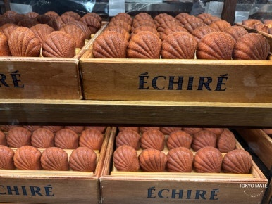 Echire费南雪和玛德琳 特写