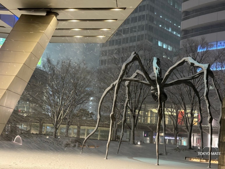 Roppongi Hills winter snowstorm in February