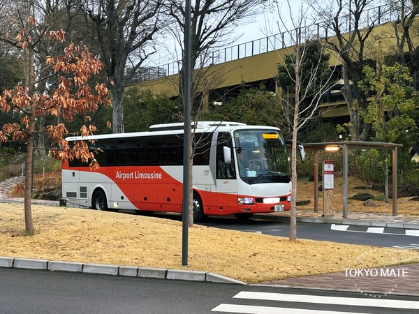 羽田机场前往哈利波特影城的豪华巴士站点