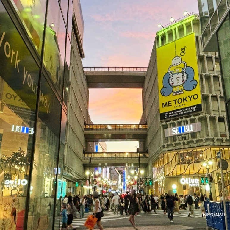Tokyo July sunset summer night view