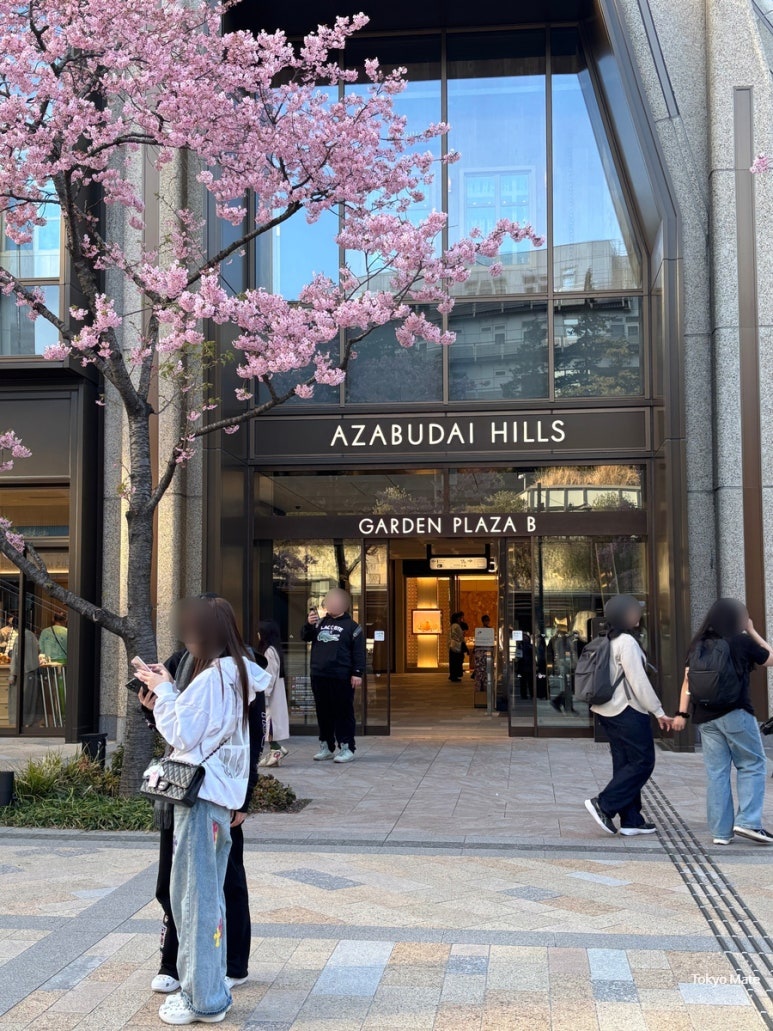 Cherry blossom season outfit in Tokyo