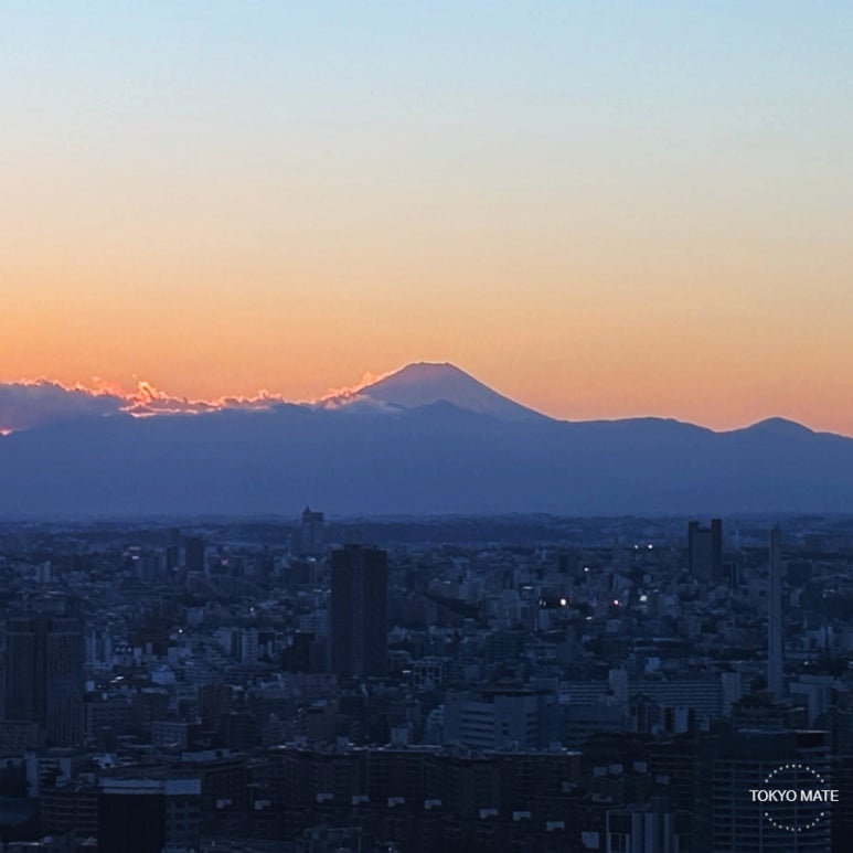 Tokyo May sunset night view