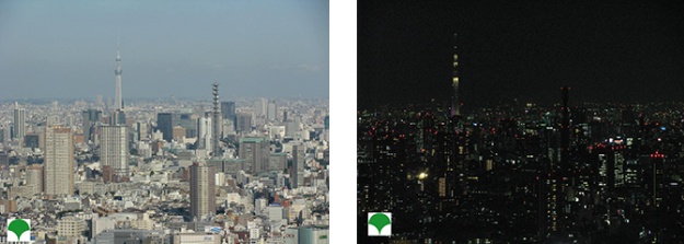 Skytree view diagram