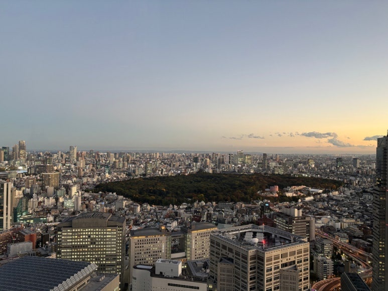 Meiji Shrine sunset view