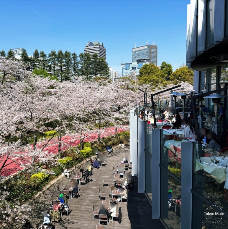 Tokyo Midtown Cherry Blossom Terrace Restaurants: 4 Best Picks (2026)
