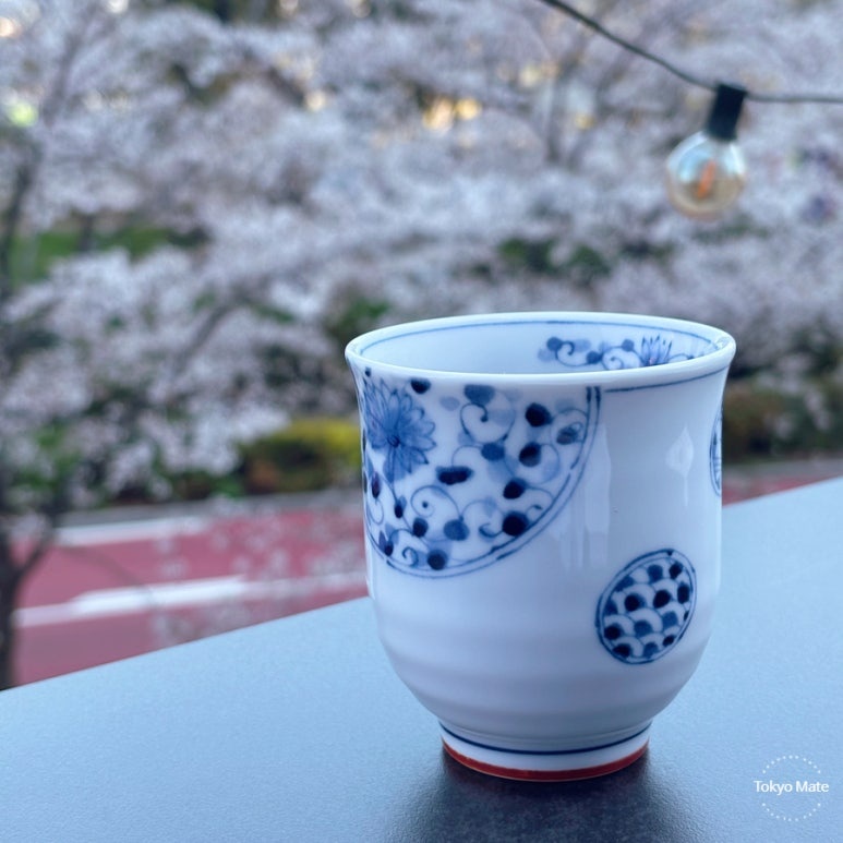 HAL YAMASHITA spring cherry blossom course full menu