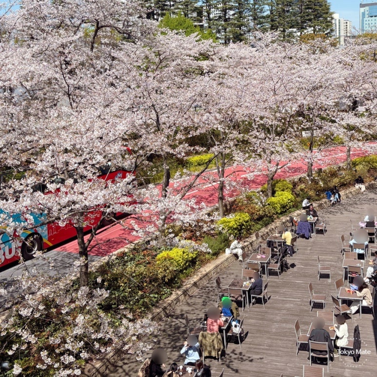 Tokyo Midtown B1F outdoor terrace free seating for takeout bento