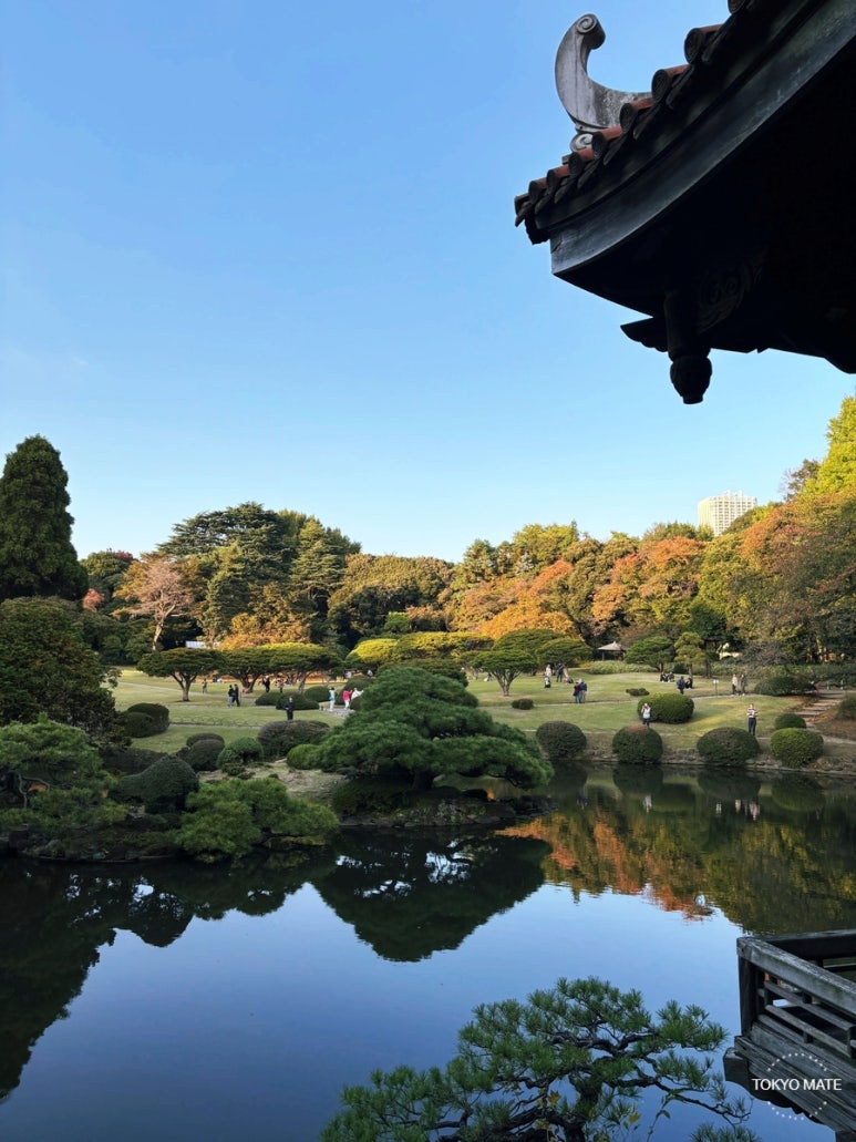 Shinjuku Gyoen
