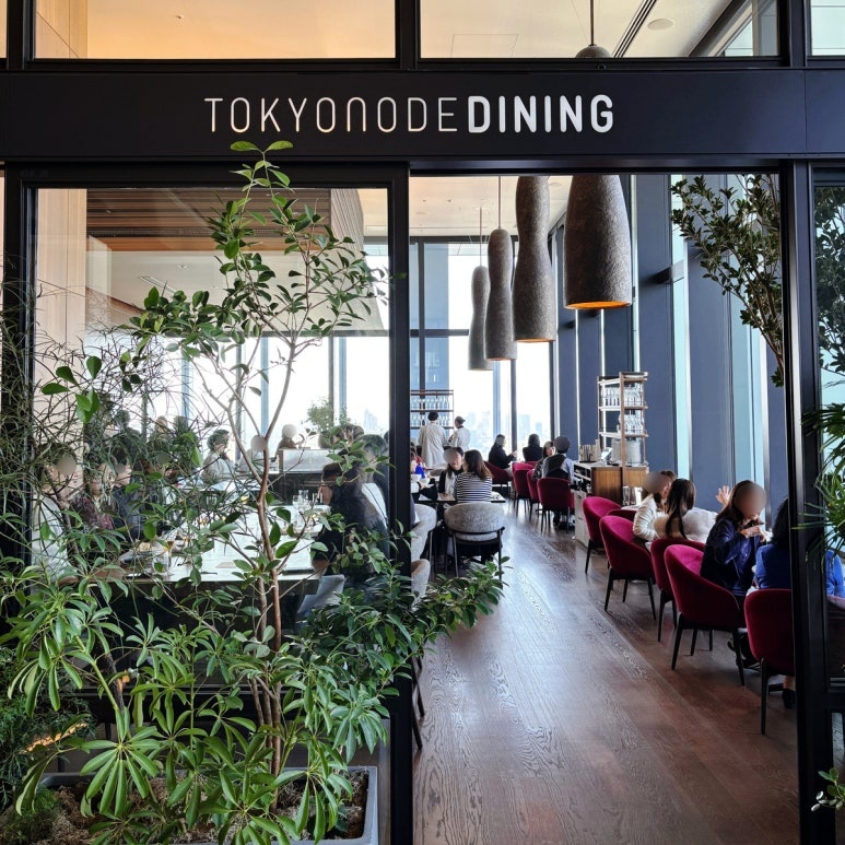 Tokyo Node Dining: 3,900 Yen Lunch with Skytree View at Toranomon Hills 45F