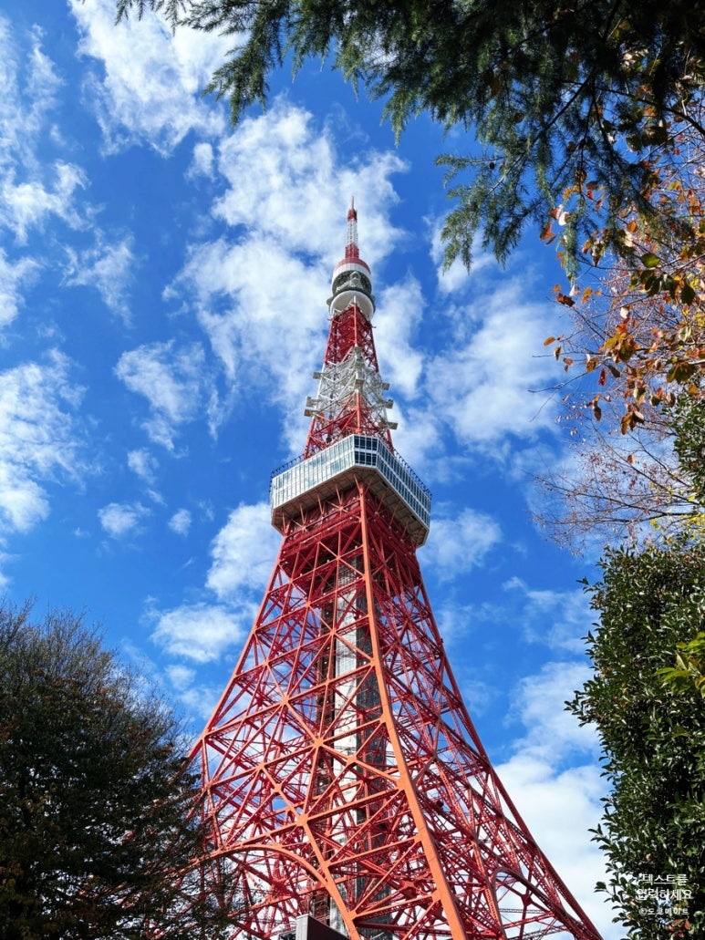 Tokyo Tower exterior illuminated at night