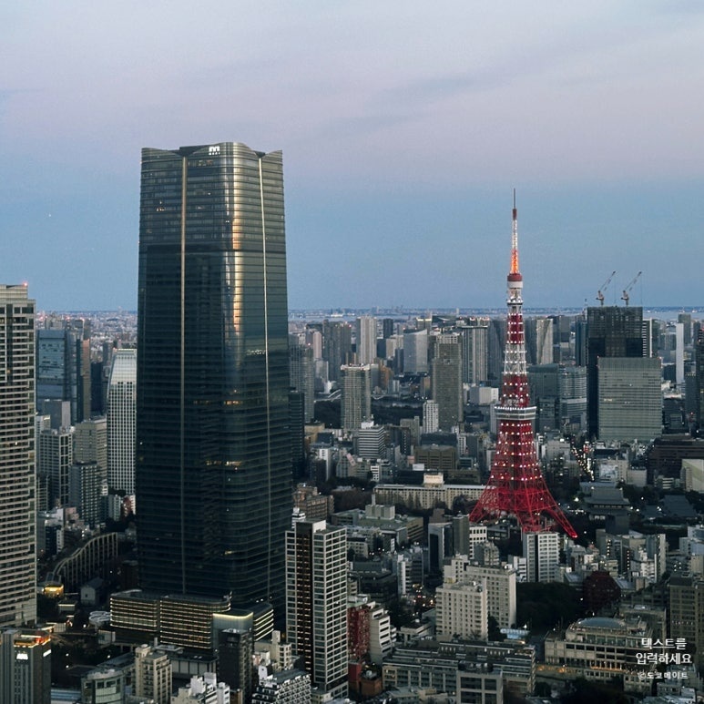 Tokyo Tower night view from Roppongi Hills Observatory