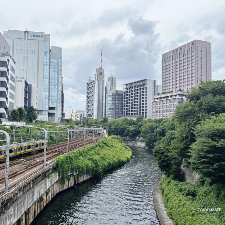 Ochanomizu street lined with universities and university hospitals along the Kanda River