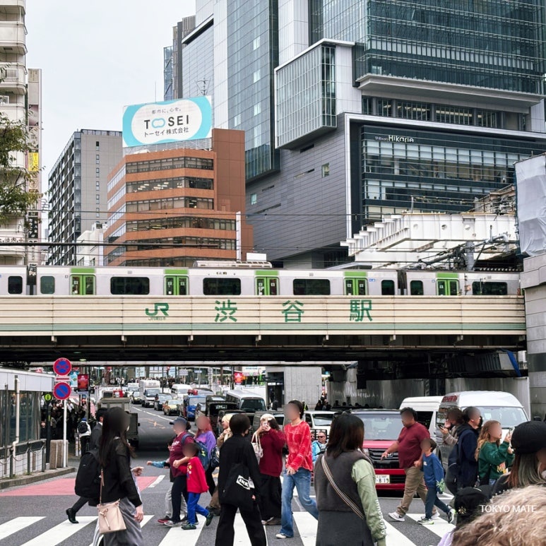 Tokyo Weather in October: Autumn Colors & What to Wear