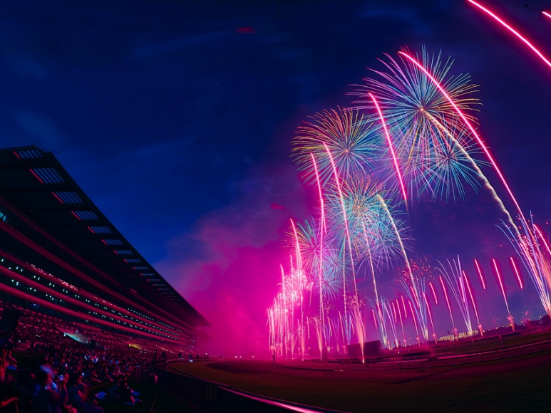 Tokyo Racecourse Fireworks 2026, Shogo Hamada 50th anniversary concert-style fireworks