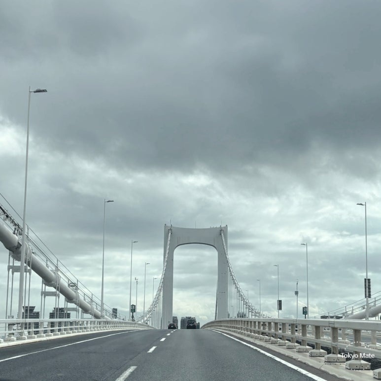 Rainbow Bridge on a rainy day in Tokyo