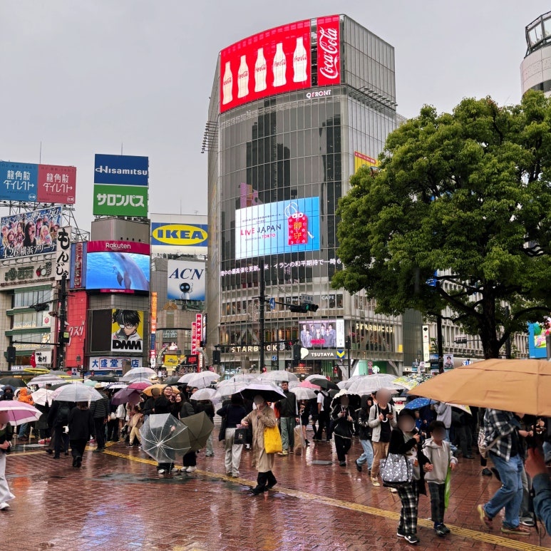 Tokyo September typhoon-season weather