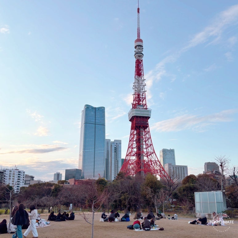 Tokyo Shiba Park Guide: Picnic Spots, Cherry Blossoms & Tokyo Tower Walking Course (2026)