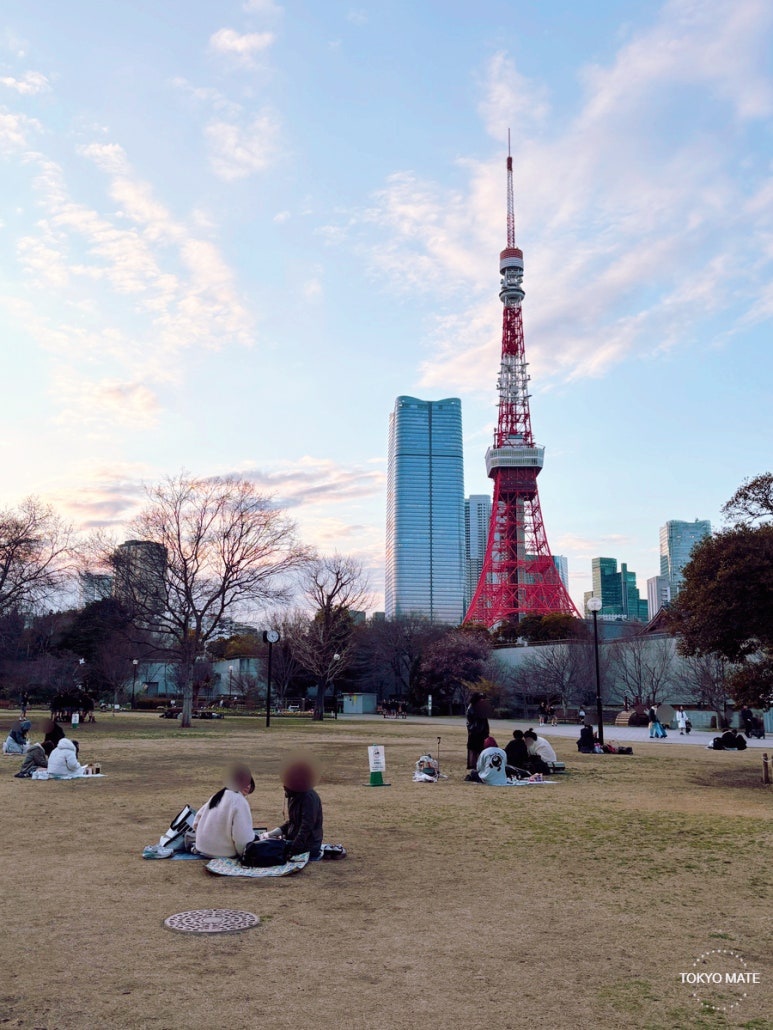 芝公園 1号地 芝生のピクニック