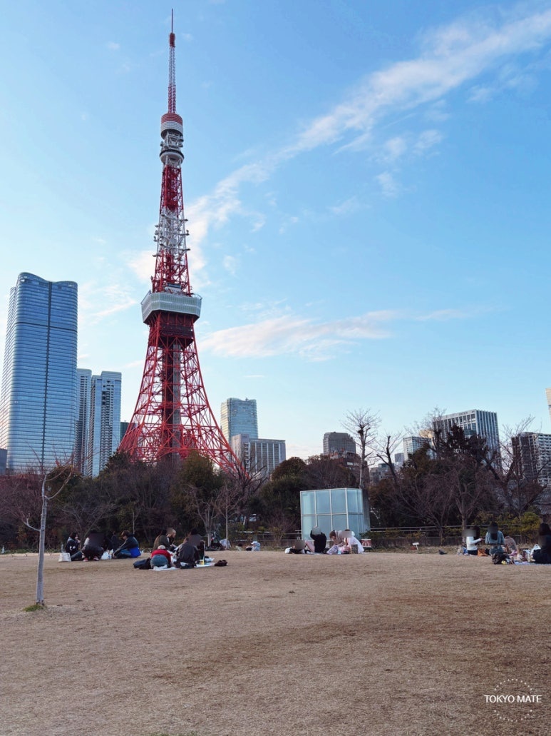 プリンス芝公園の芝生と東京タワー