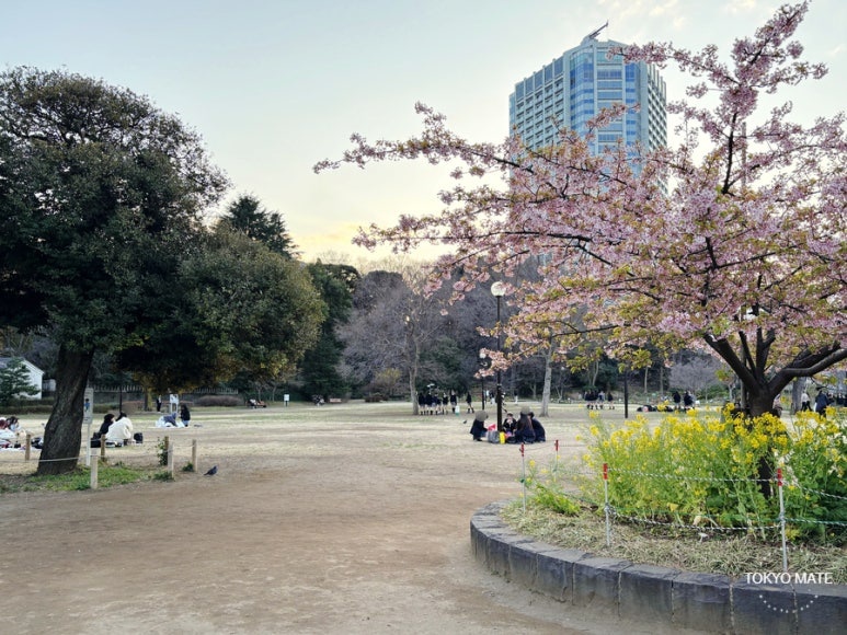 芝公園ピクニックの実用ポイント