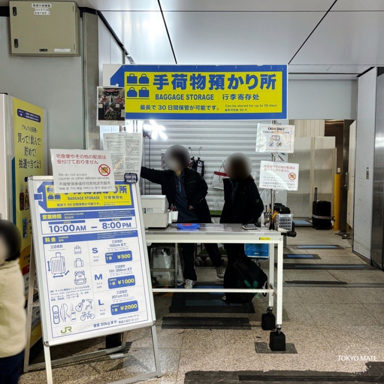 Tokyo Station Marunouchi Central Gate baggage storage