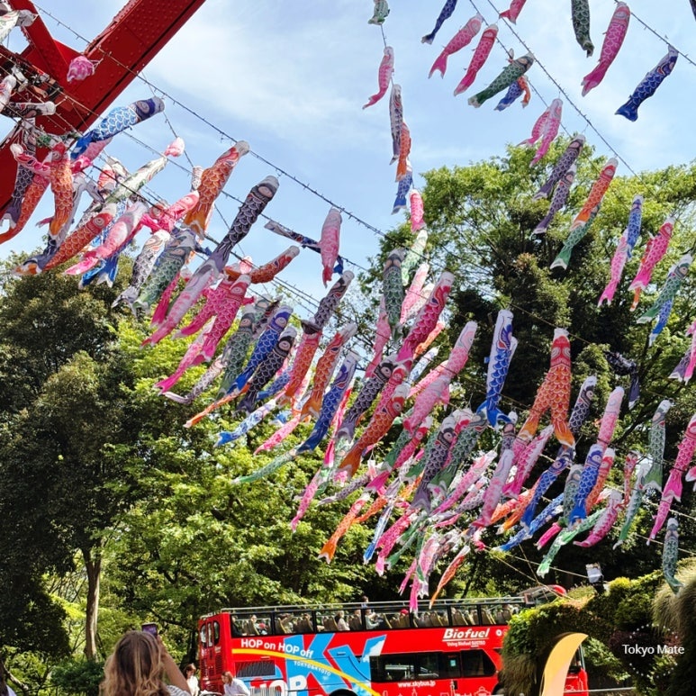 333 koinobori carp streamers in front of Tokyo Tower
