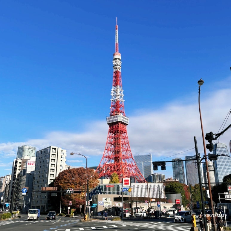 15 Best Tokyo Tower Photo Spots: Day & Night Locations with Maps