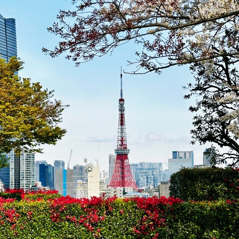 Tokyo Travel Preparation Guide A to Z for Beginners: Flights, Entry, Accommodation, Transport, Apps Checklist