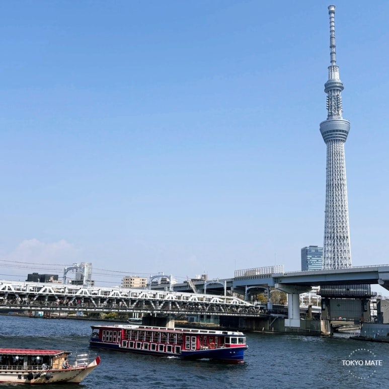 Tokyo Cruise water bus departing from Asakusa - reservation, fares, and timetable guide