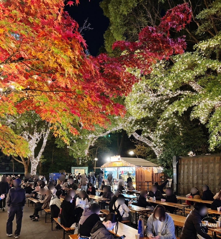 上野圣诞市集2025红叶风景