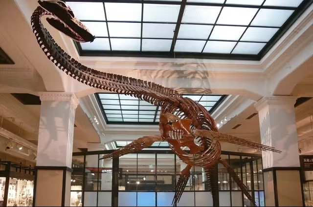 Interior of the National Museum of Nature and Science in Ueno Park
