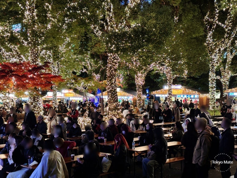 Christmas market illumination at night in Ueno Park during winter