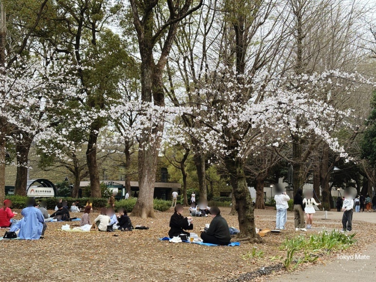 People having picnics on the lawn in Ueno Park