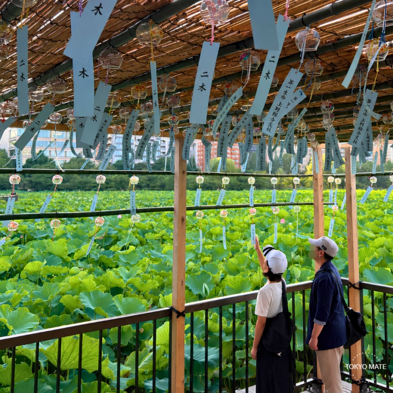 Ueno Summer Festival 2026: 4,000 Wind Chimes, Jul 10-Aug 11