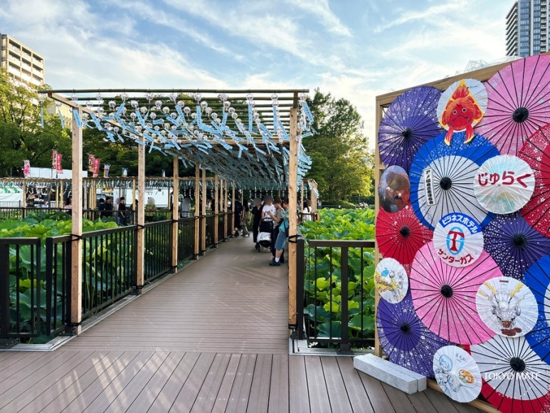 Ueno Summer Festival wind-chime tanzaku photo spot at Shinobazu Pond