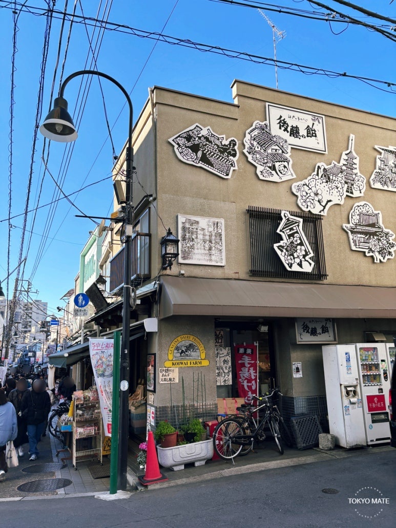 Yanaka Ginza shopping street panorama